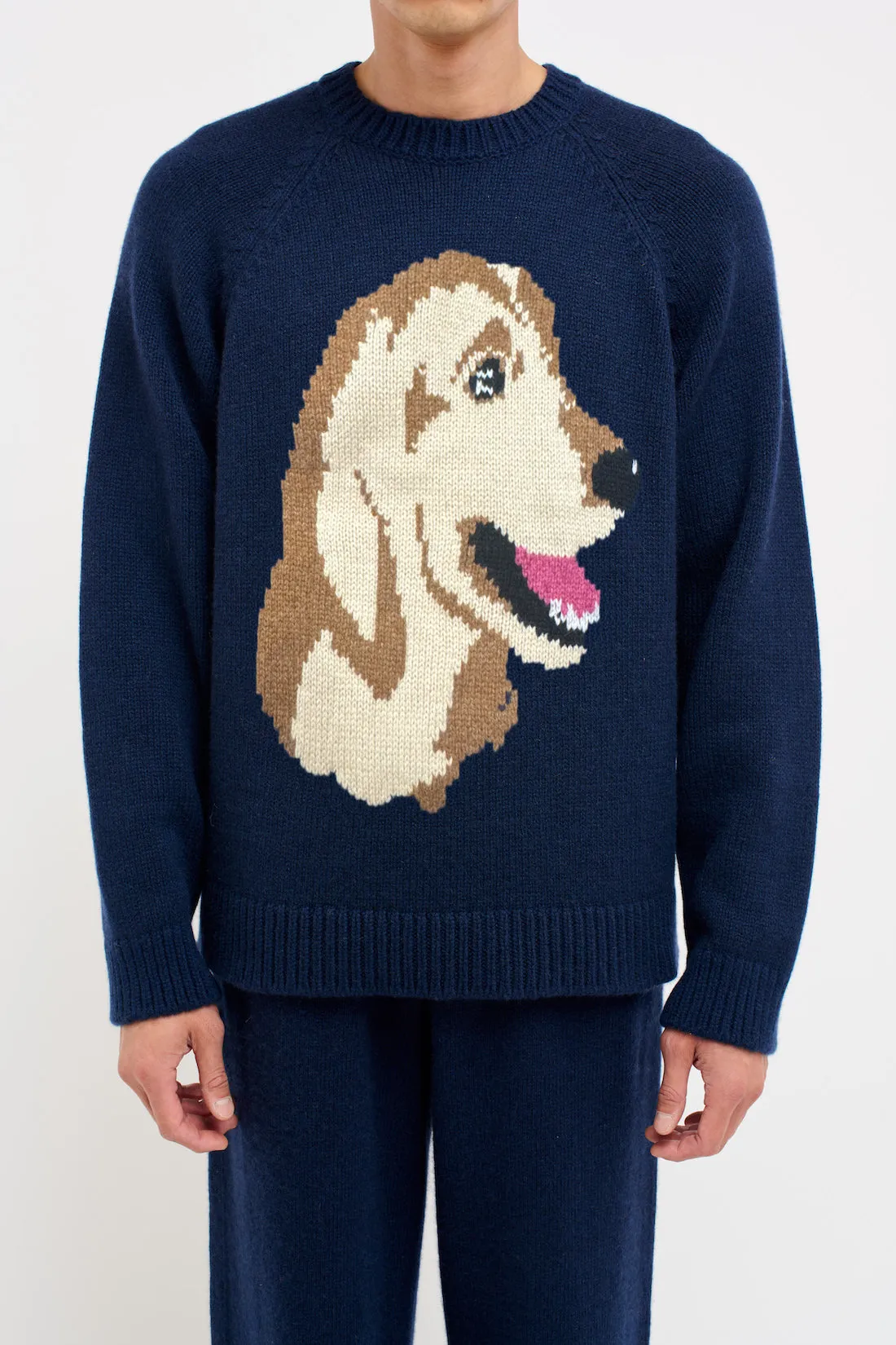 Retriever Raglan Crew